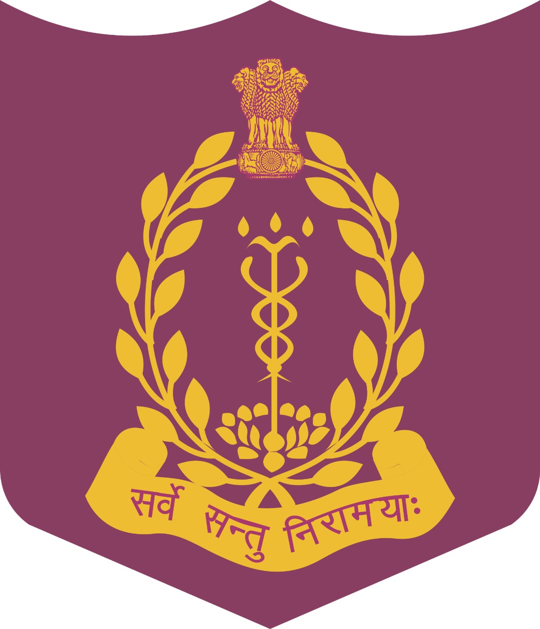 AFMC Logo